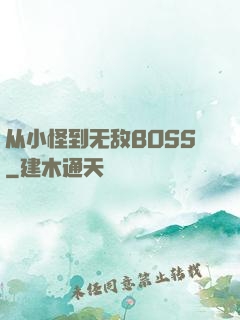从小怪到无敌BOSS