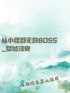 从小怪到无敌BOSS