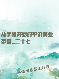 从手机开始的平价商业帝国