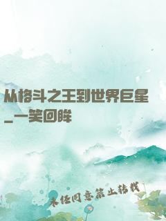 从格斗之王到世界巨星