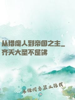 从猎魔人到帝国之主