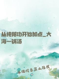 从纯阳功开始加点