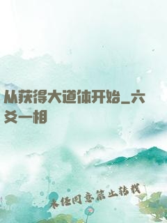 从获得大道体开始