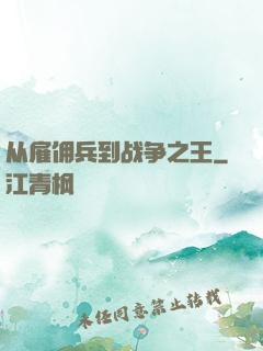 从雇佣兵到战争之王