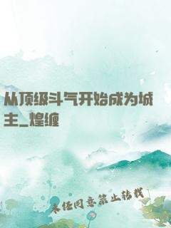 从顶级斗气开始成为城主