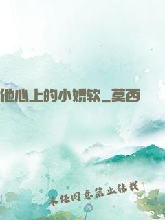 他心上的小娇软