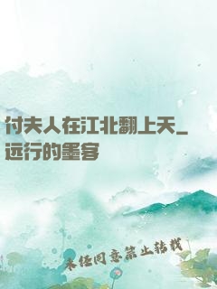 付夫人在江北翻上天