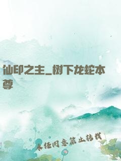 仙印之主