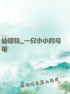 仙情殇