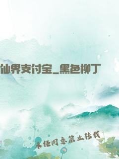 仙界支付宝