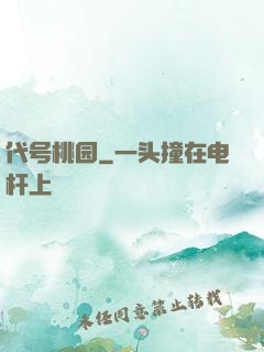 代号桃园