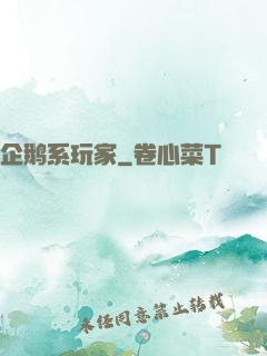 企鹅系玩家
