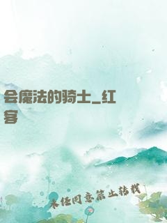 会魔法的骑士