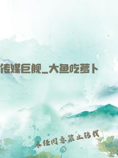 传媒巨舰