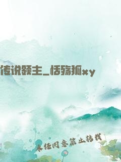传说领主