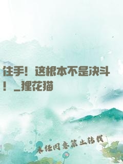 住手！这根本不是决斗！