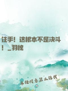 住手！这根本不是决斗！
