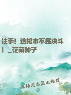 住手！这根本不是决斗！