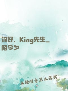 你好，King先生
