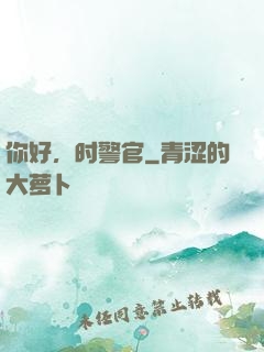 你好，时警官