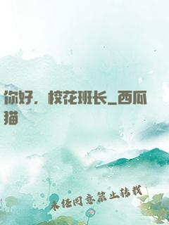你好，校花班长
