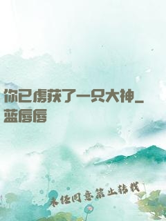 你已虏获了一只大神