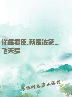 你是君臣,我是佐使