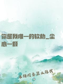 你是我唯一的软肋