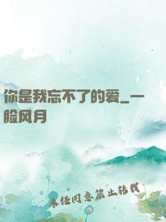 你是我忘不了的爱