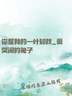 你是我的一叶知秋