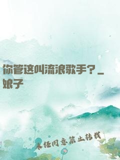你管这叫流浪歌手？