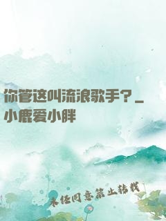 你管这叫流浪歌手？