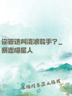 你管这叫流浪歌手？