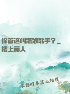 你管这叫流浪歌手？