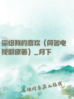 你给我的喜欢（同名电视剧原著）