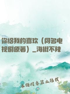你给我的喜欢（同名电视剧原著）