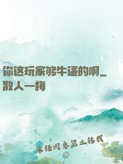 你这玩家够牛逼的啊