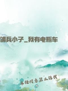 佣兵小子