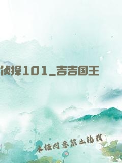 侦探101