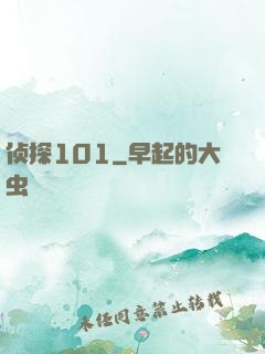 侦探101