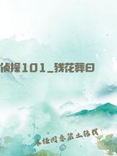 侦探101