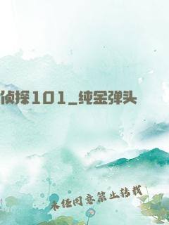 侦探101