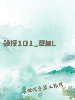 侦探101