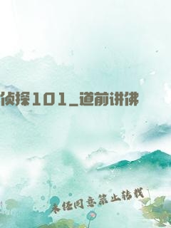 侦探101