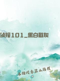 侦探101