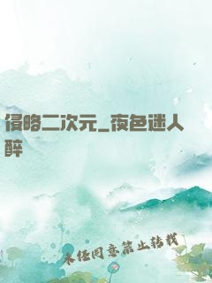 侵略二次元