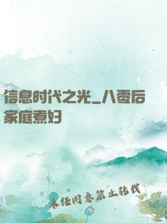 信息时代之光