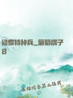 修罗特种兵