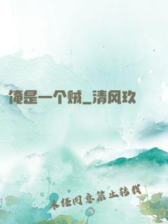 俺是一个贼