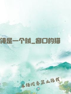 俺是一个贼